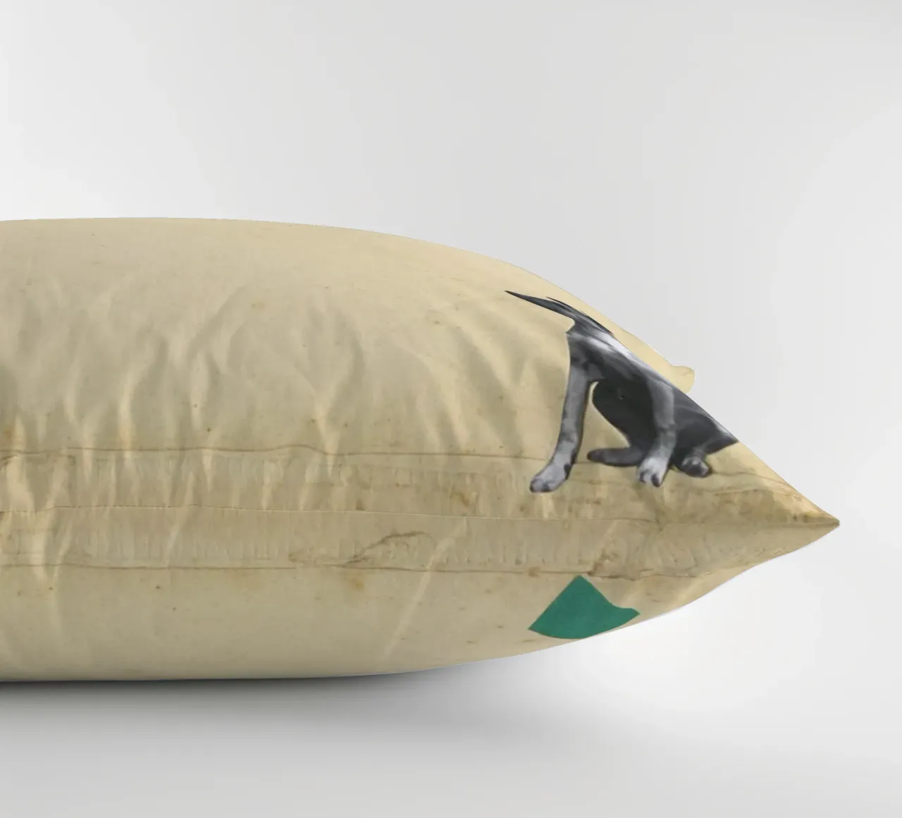 Whippet meraviglioso cuscino da Cassia Beck Collage