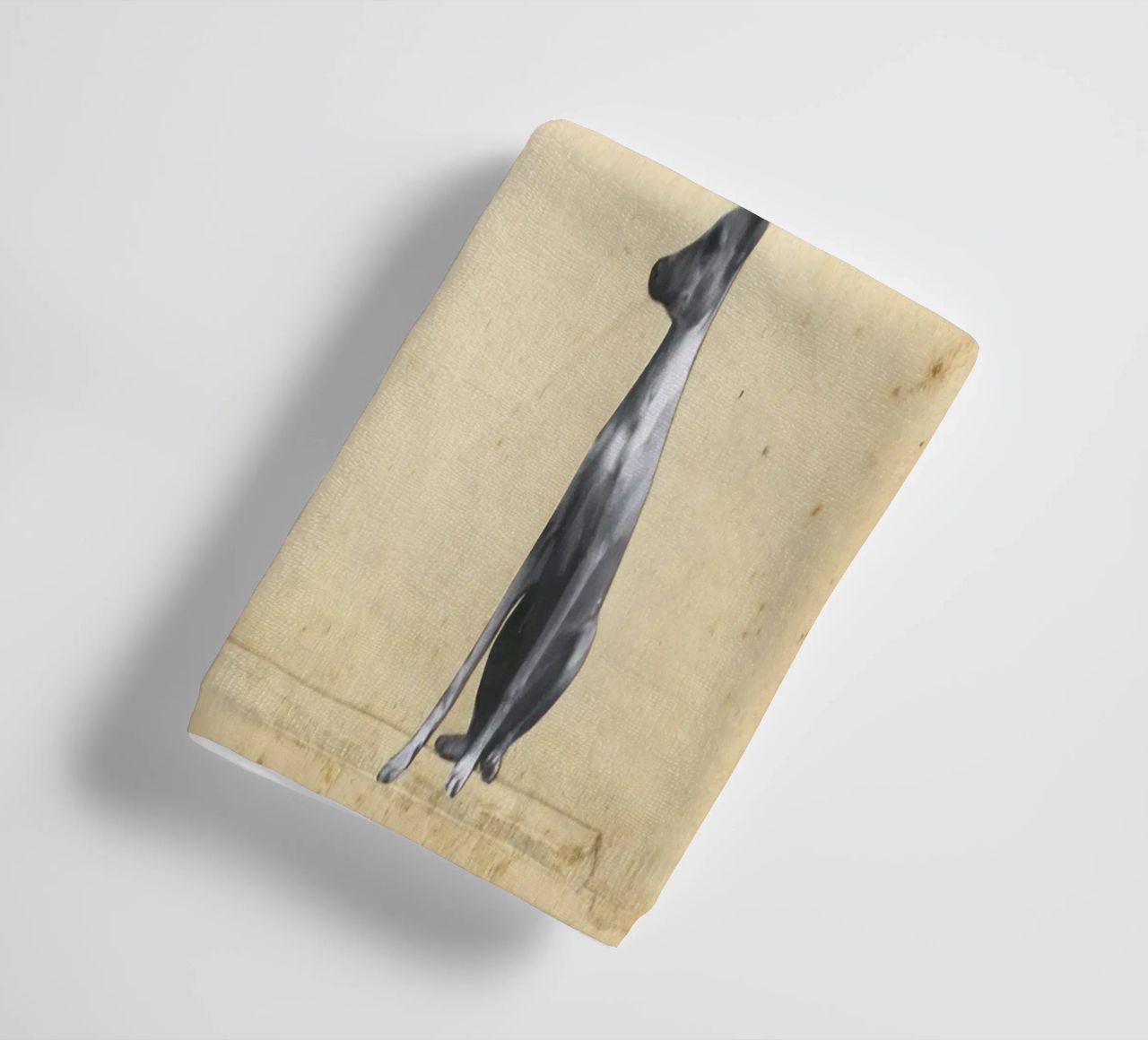Wondrous Whippet towel by Cassia Beck Collage