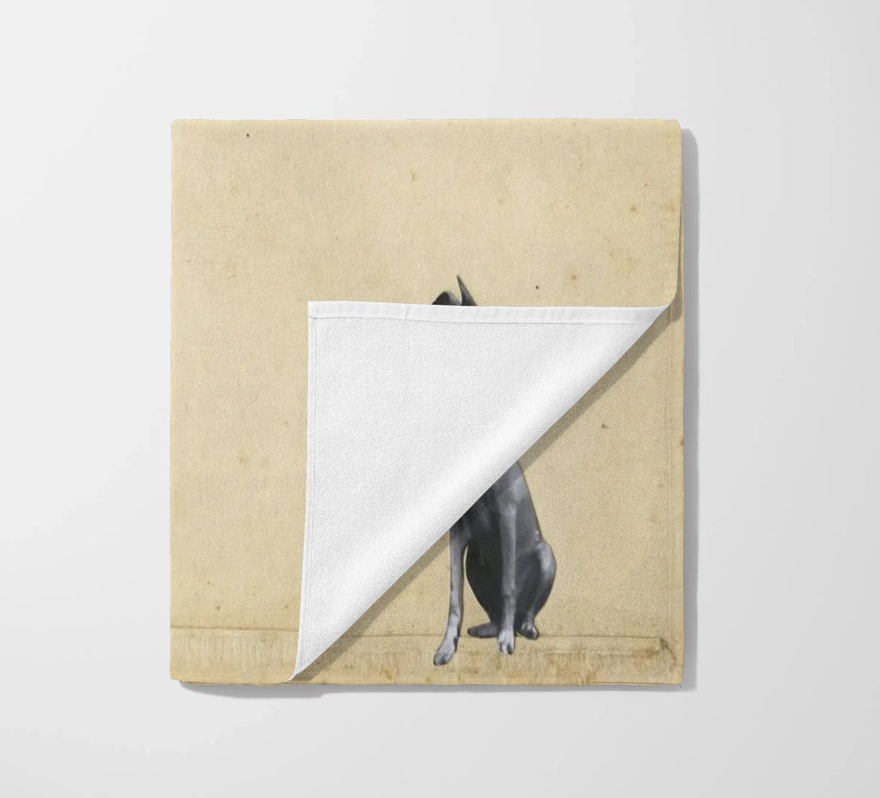 Whippet meraviglioso telo mare da Cassia Beck Collage