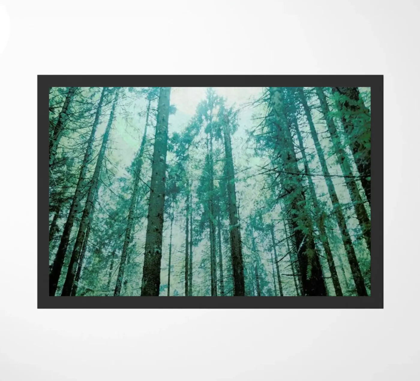 Take Me Higher zerbino da Angelo Cerantola