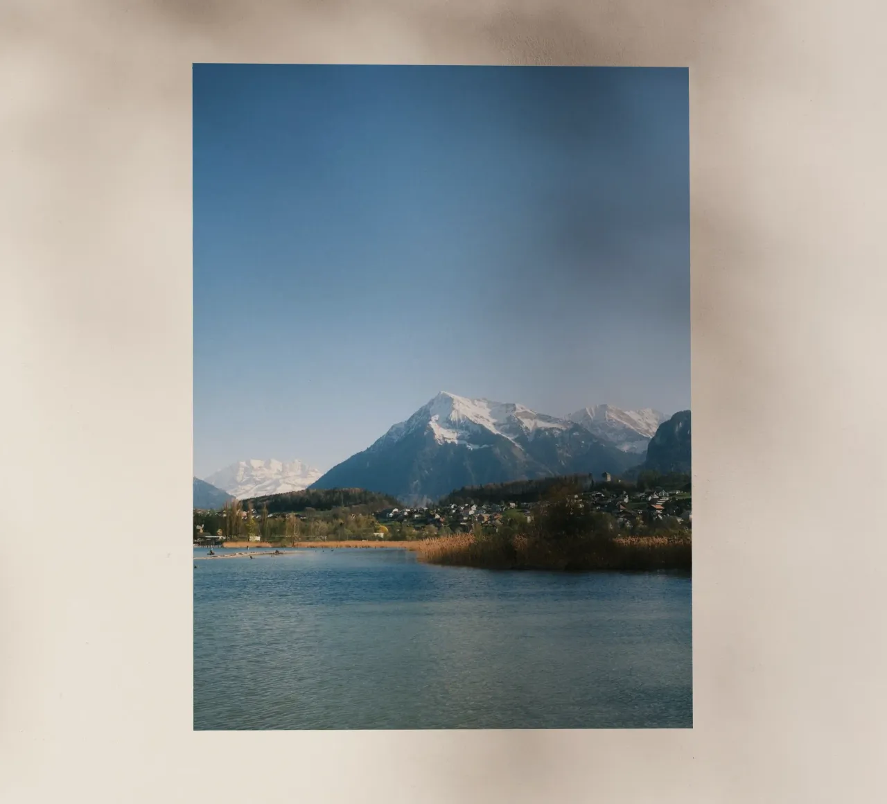 Spring View of the Bernese Alps from Lake Thun pellicola backlit da FujiSwiss