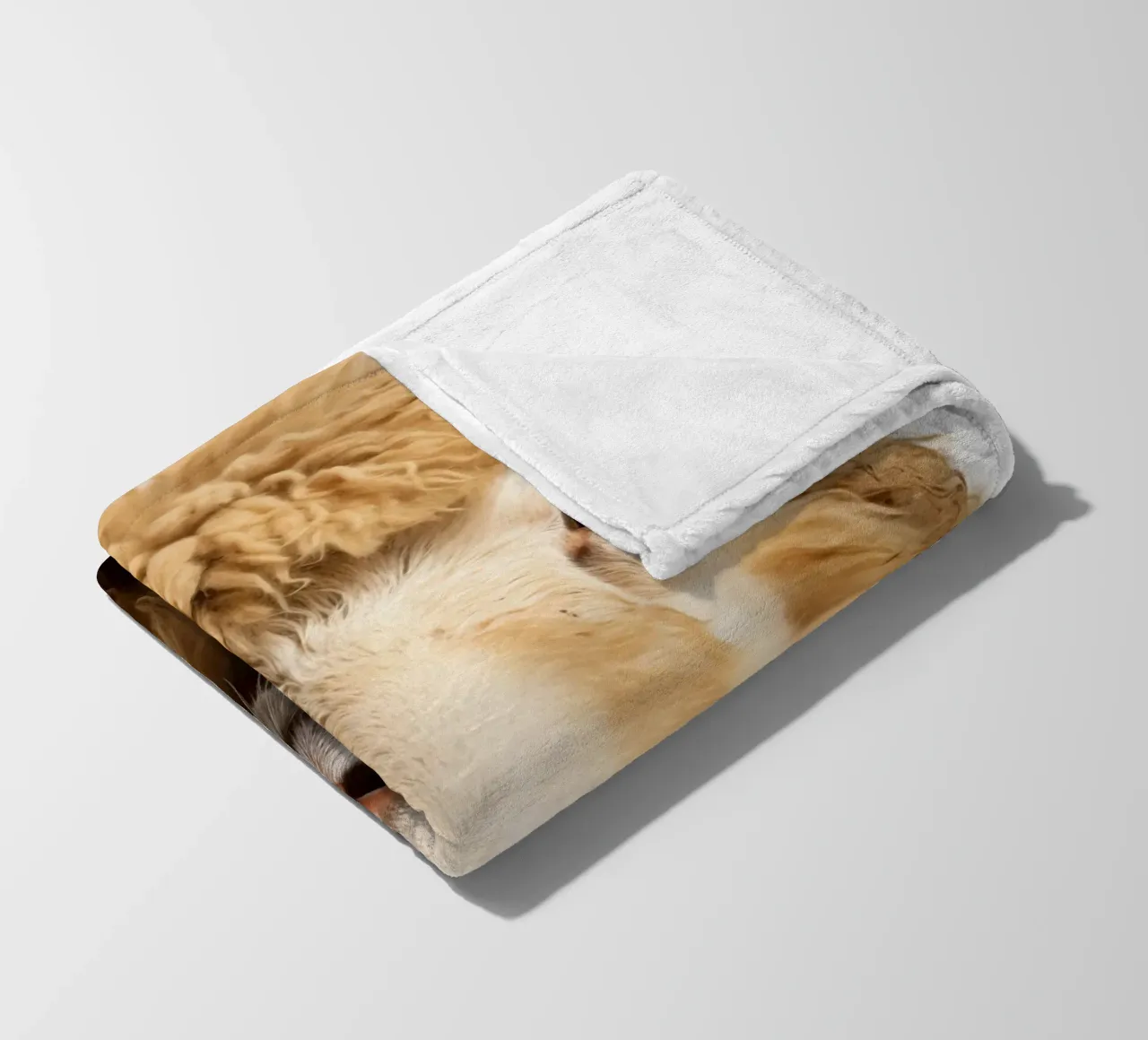 Pecora coperta in pile da Imagine