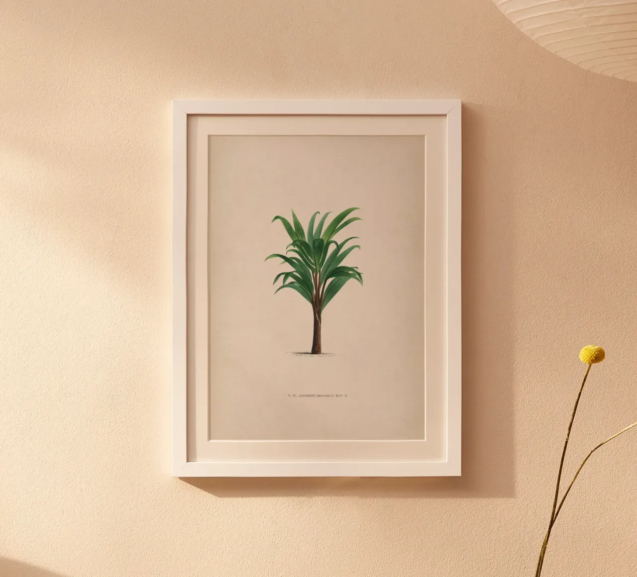 Vintage Kerchove 3 Les Palmiers 15 poster con telaio in plastica da Vintage Print Collection