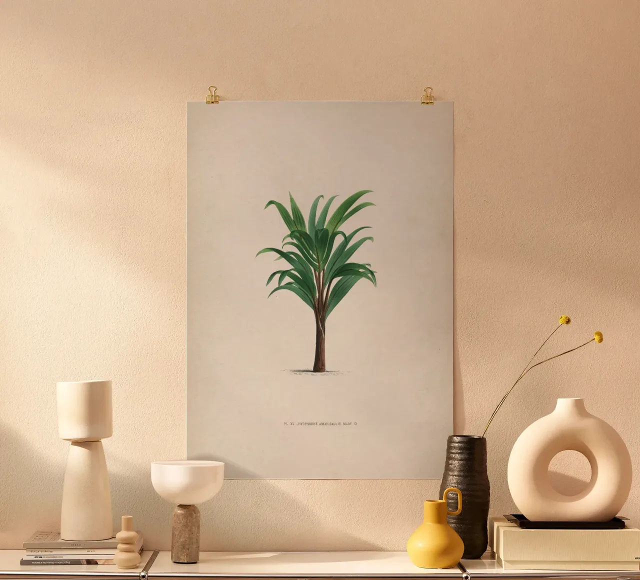 Vintage Kerchove 3 Les Palmiers 15 poster con telaio in plastica da Vintage Print Collection