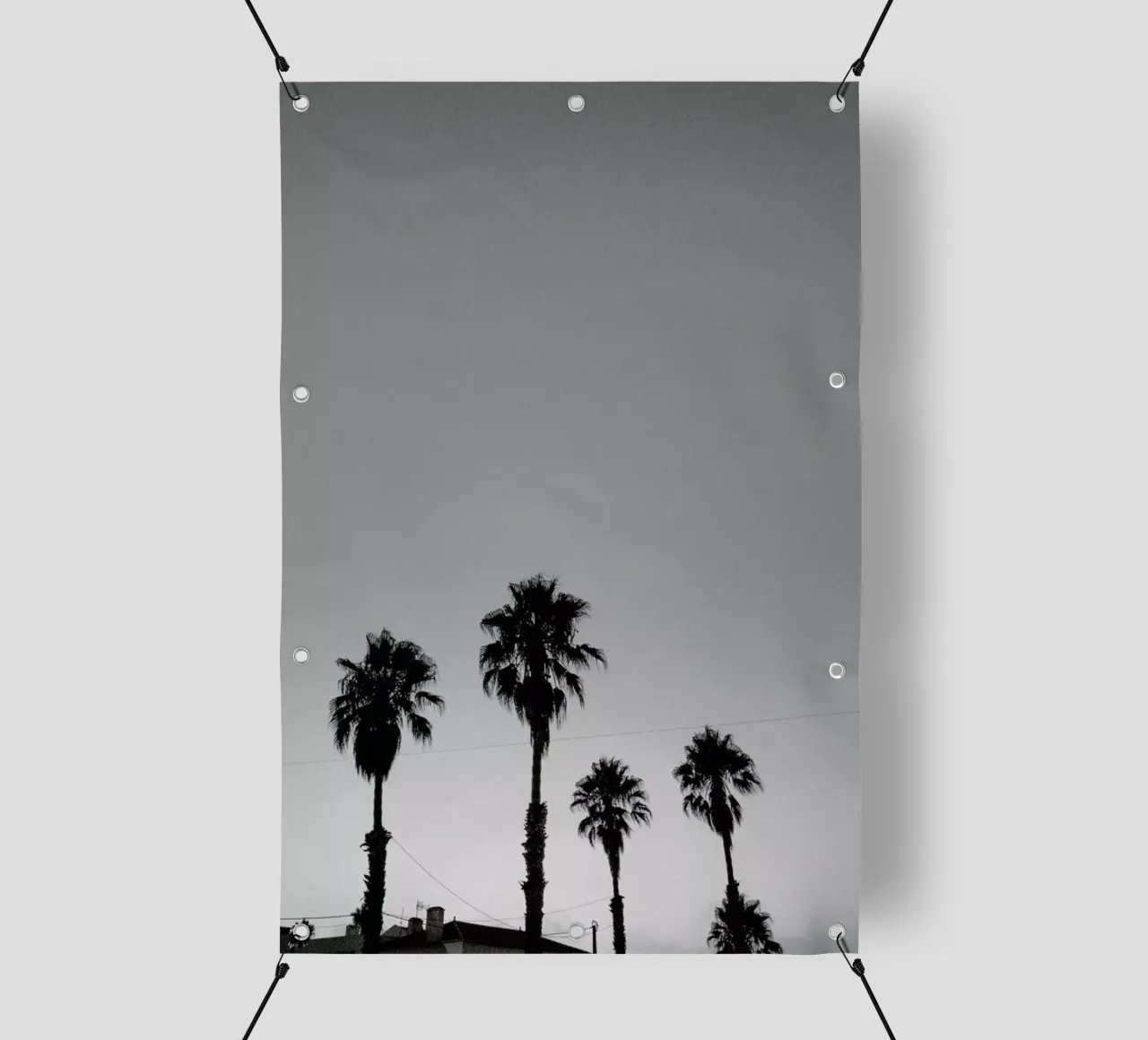 Group Of Palms telo in pvc da Sebastian Hilgetag