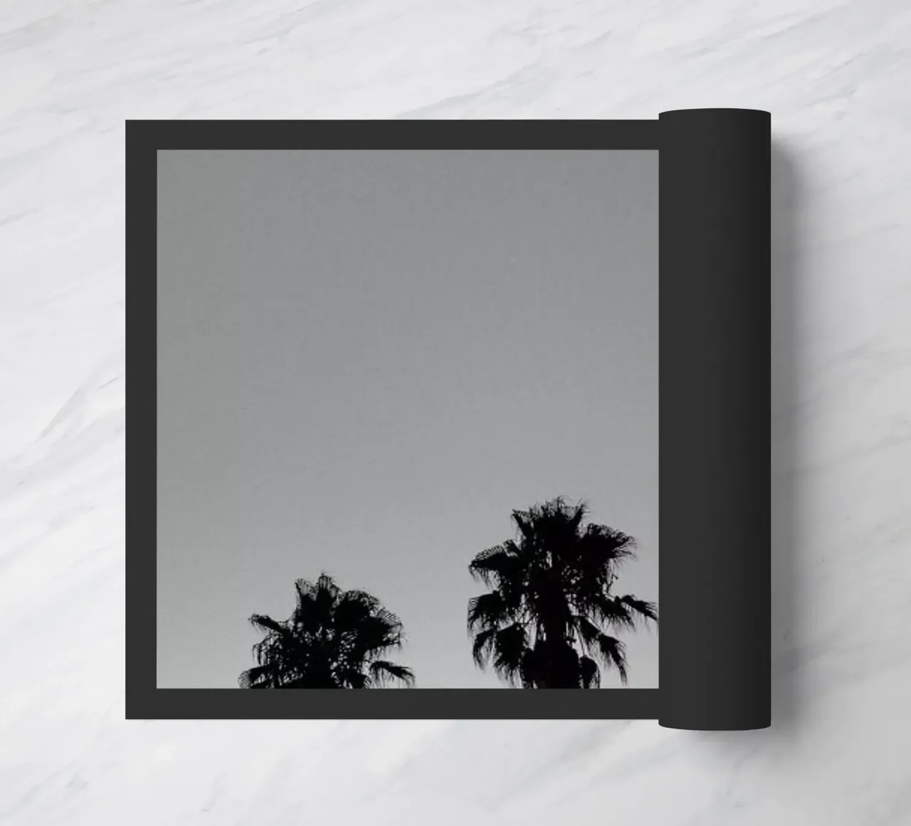 Group Of Palms zerbino da Sebastian Hilgetag