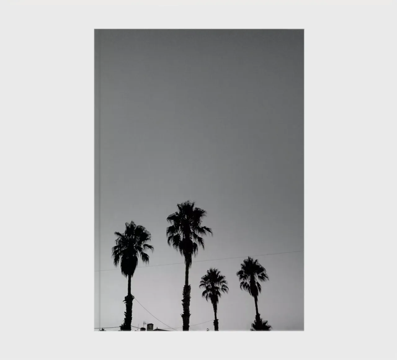 Group Of Palms notebook by Sebastian Hilgetag