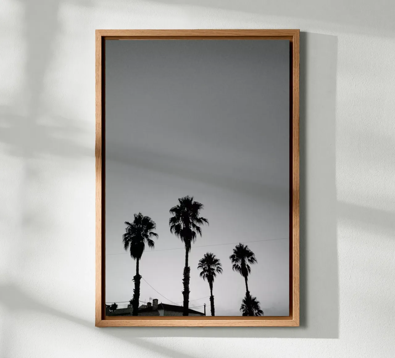 Group Of Palms tela con Cornice a cassetta da Sebastian Hilgetag