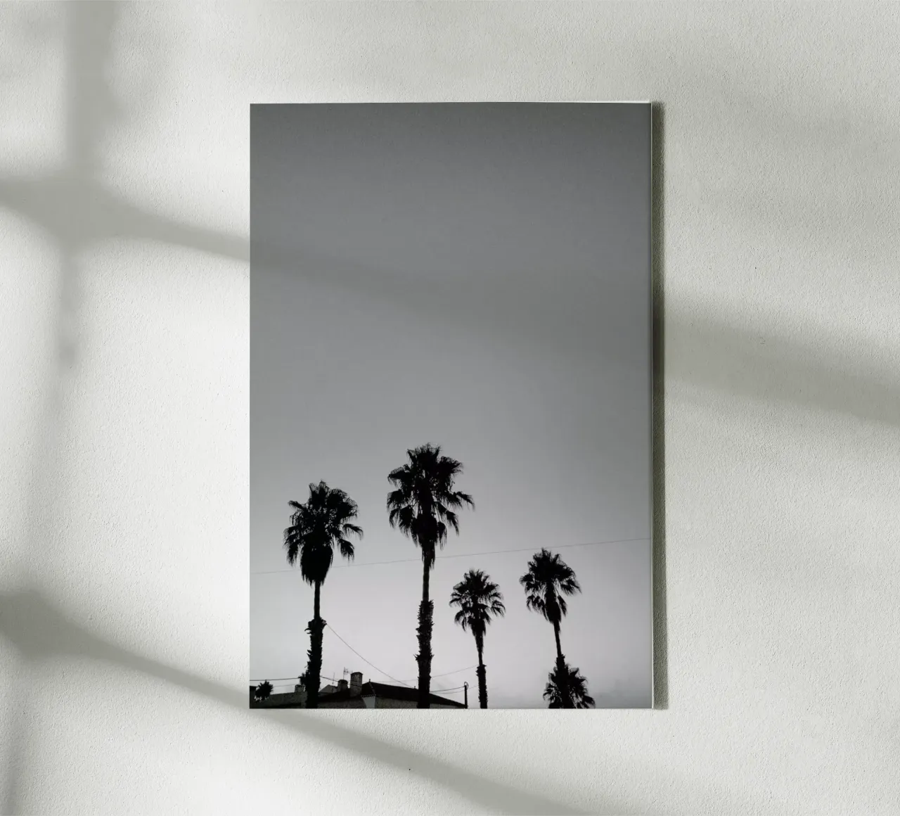 Group Of Palms tela con Cornice a cassetta da Sebastian Hilgetag