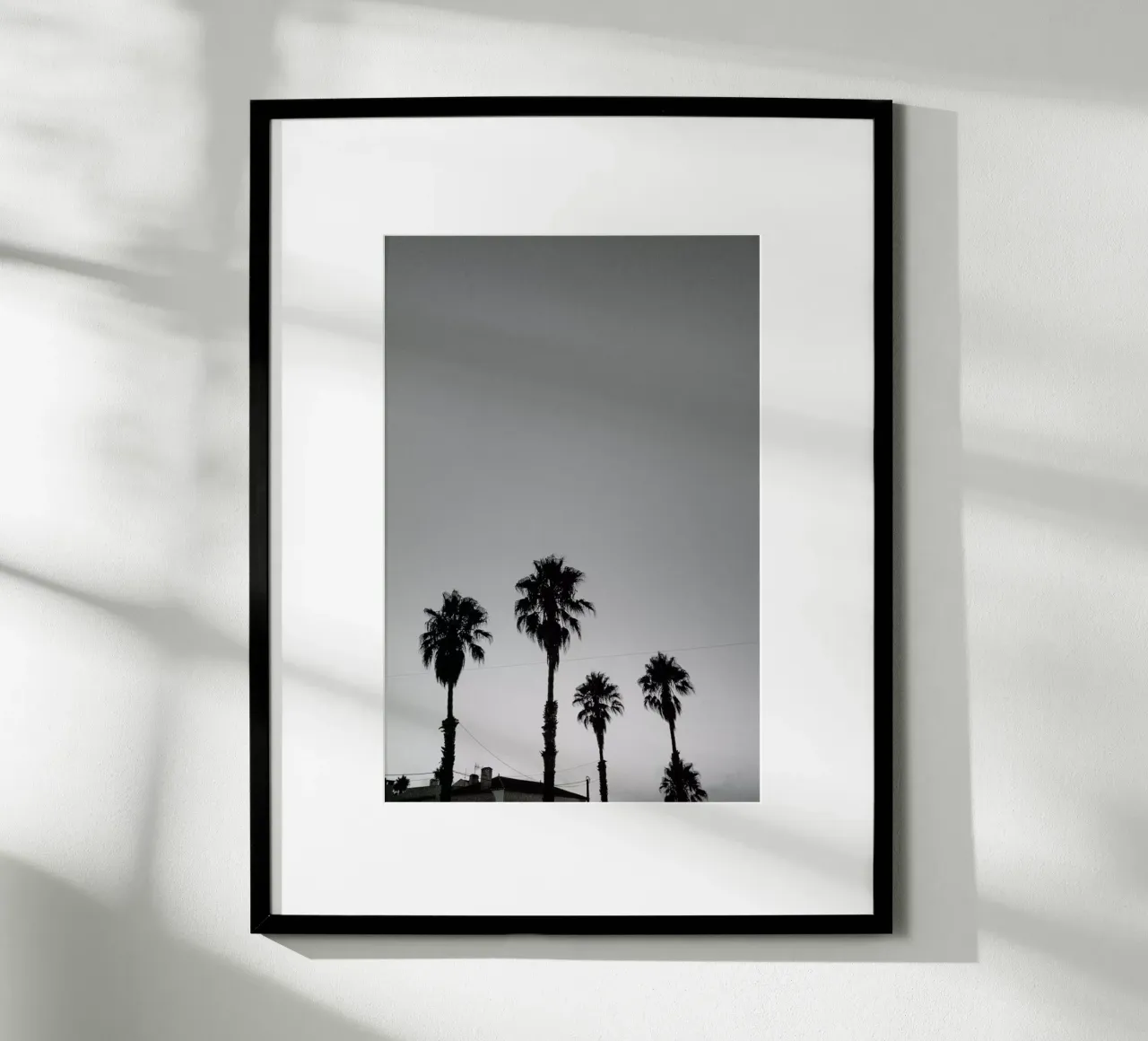 Group Of Palms carta hahnemühle da Sebastian Hilgetag