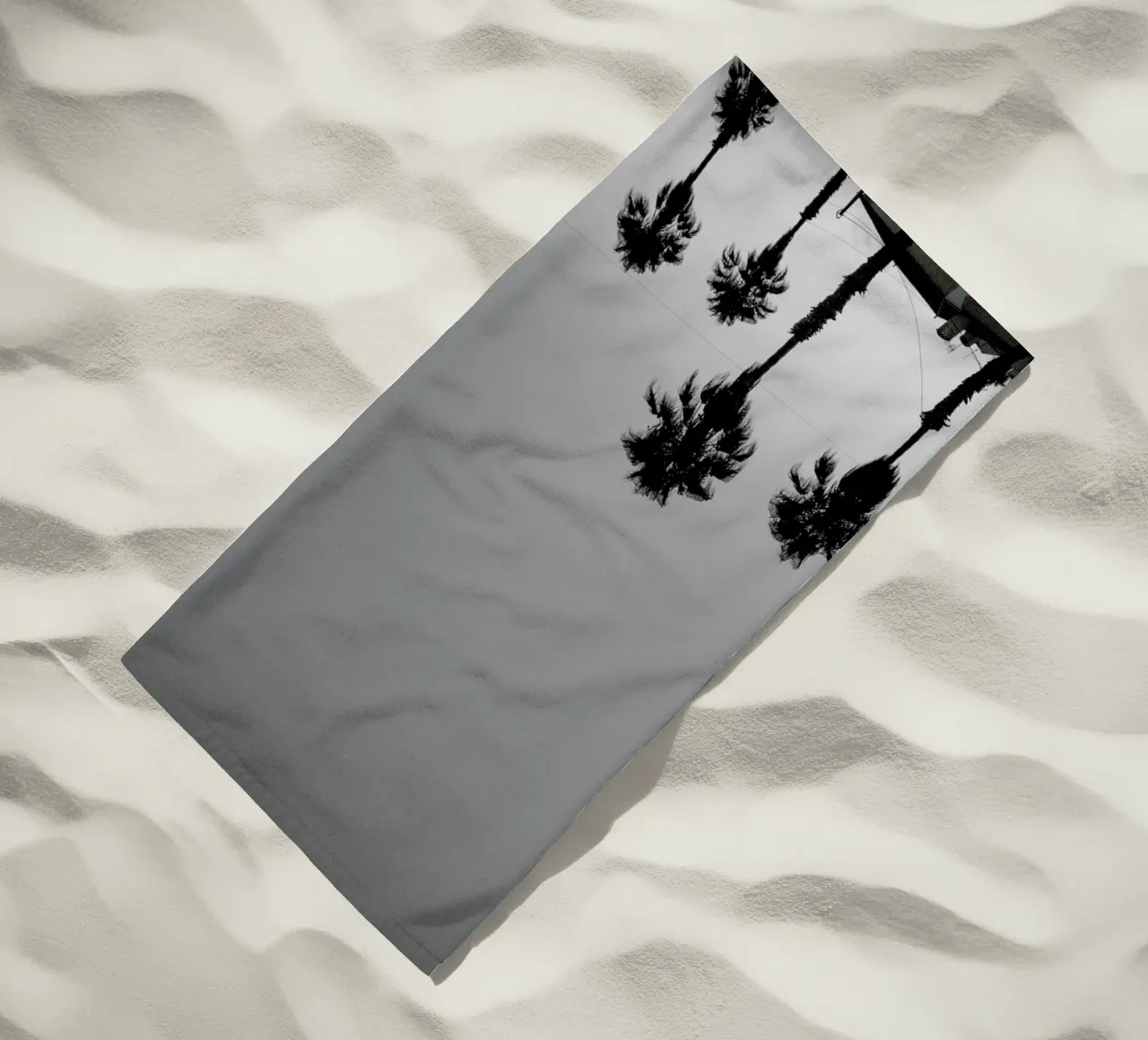 Group Of Palms telo mare da Sebastian Hilgetag