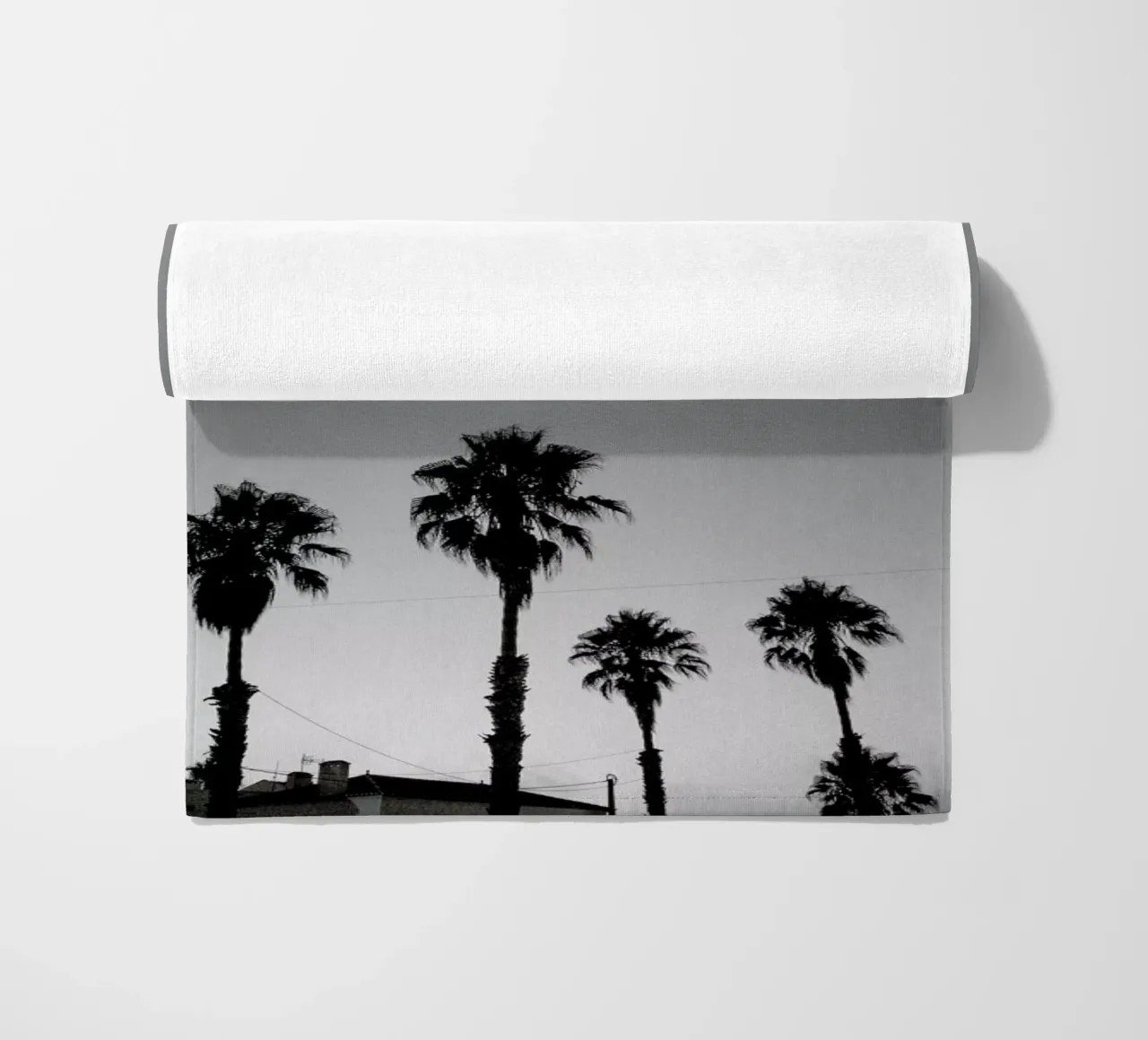 Group Of Palms telo mare da Sebastian Hilgetag