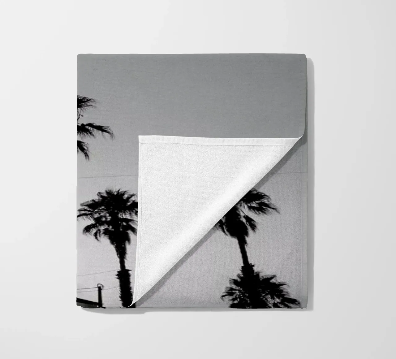 Group Of Palms telo mare da Sebastian Hilgetag