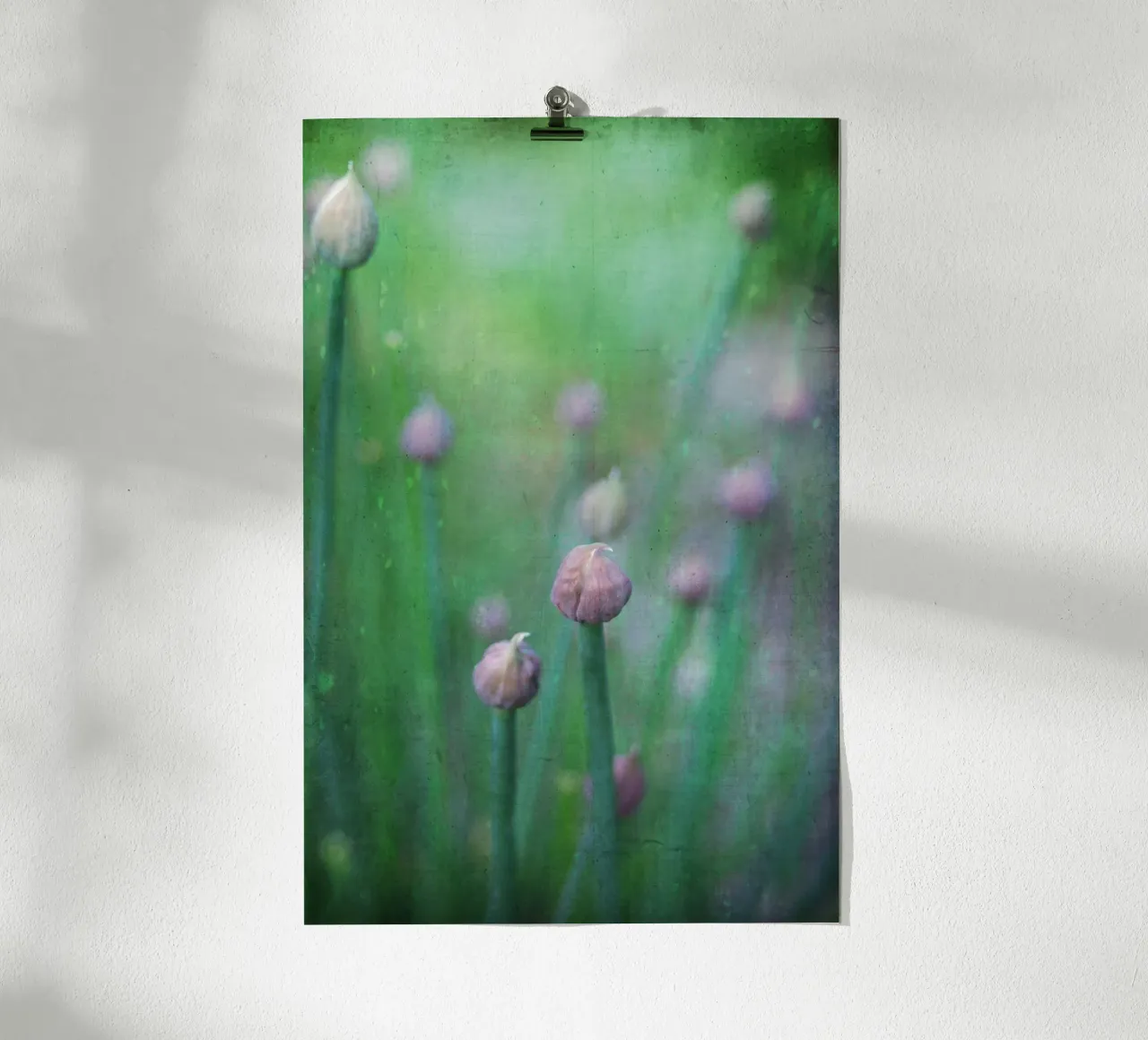 chives poster con telaio in alluminio da Visuelle Poesie am Wegesrand