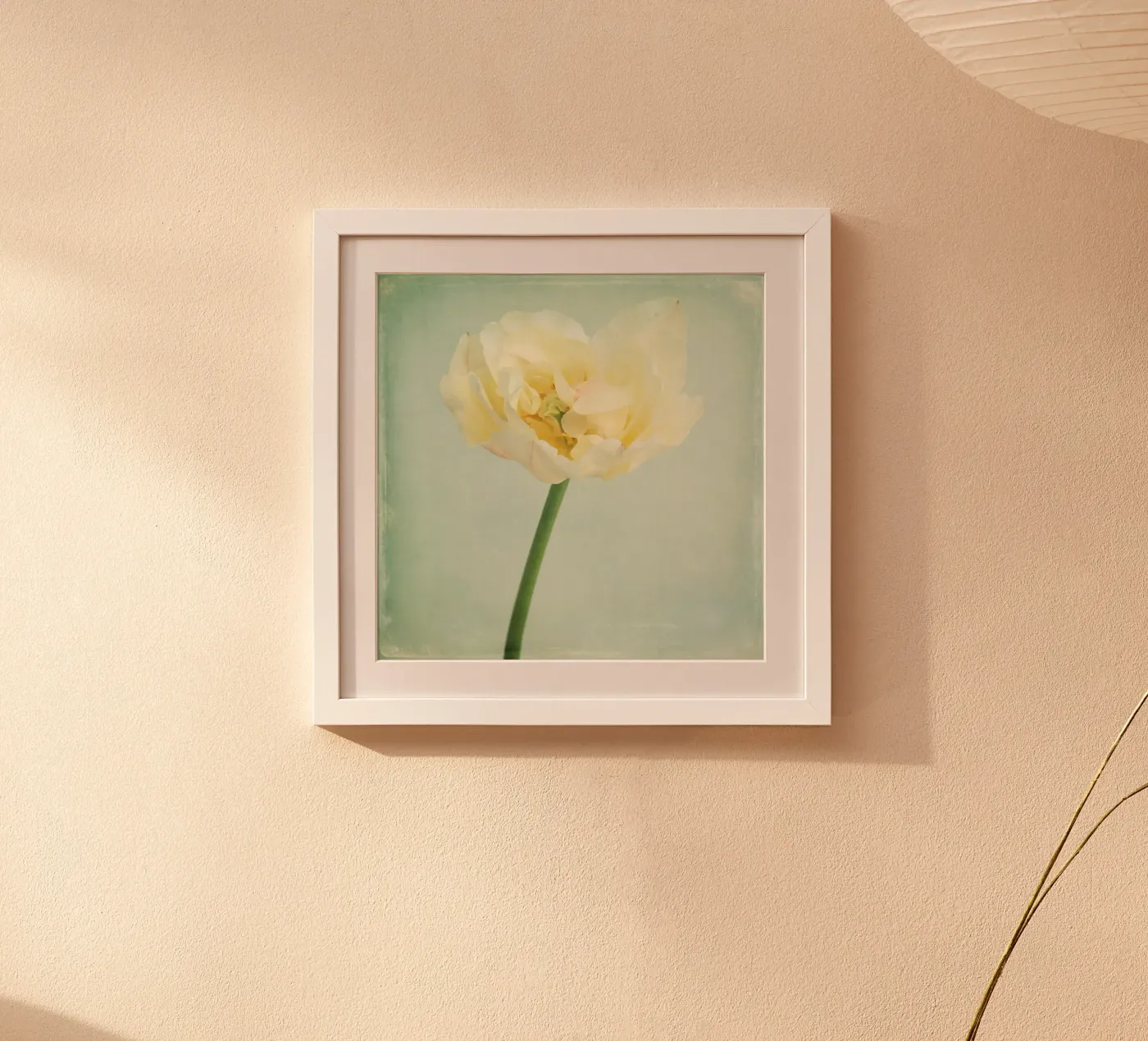 vanilla Poster von Visuelle Poesie am Wegesrand