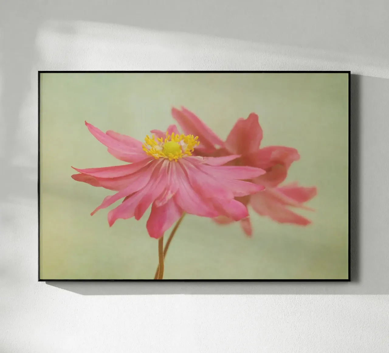 valse plexiglass da Visuelle Poesie am Wegesrand