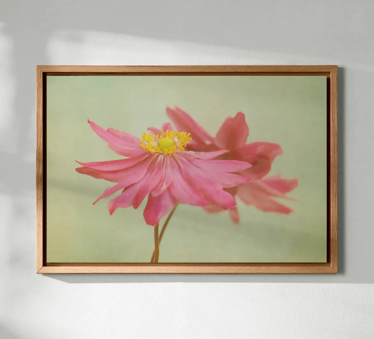 valse placa de forex de Visuelle Poesie am Wegesrand