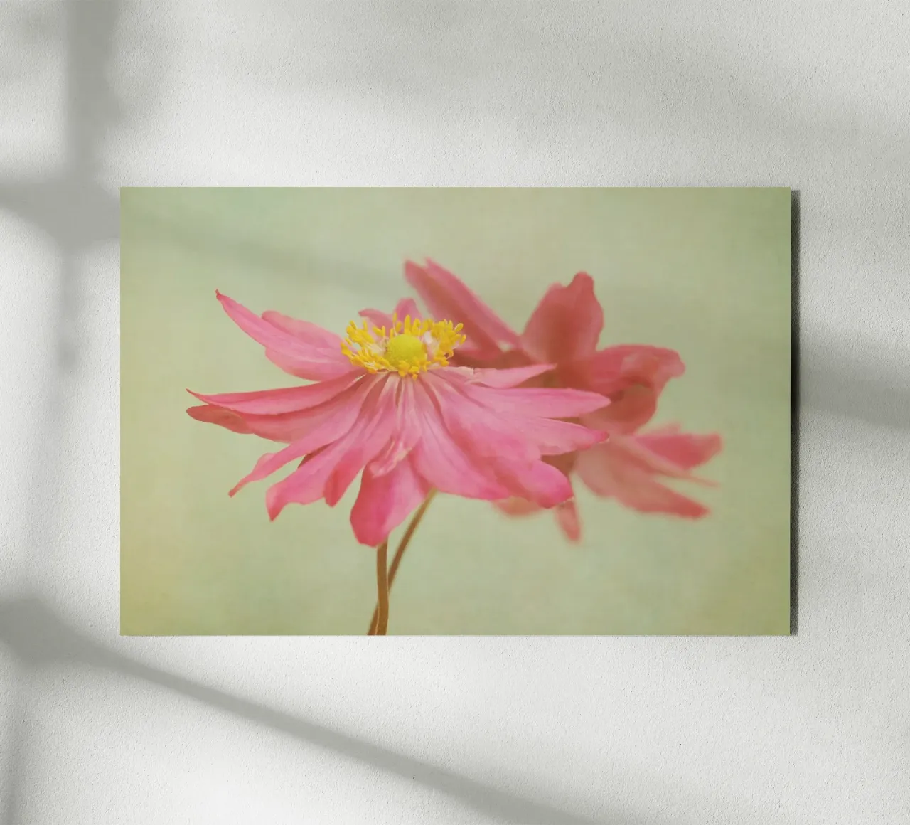valse placa de forex de Visuelle Poesie am Wegesrand