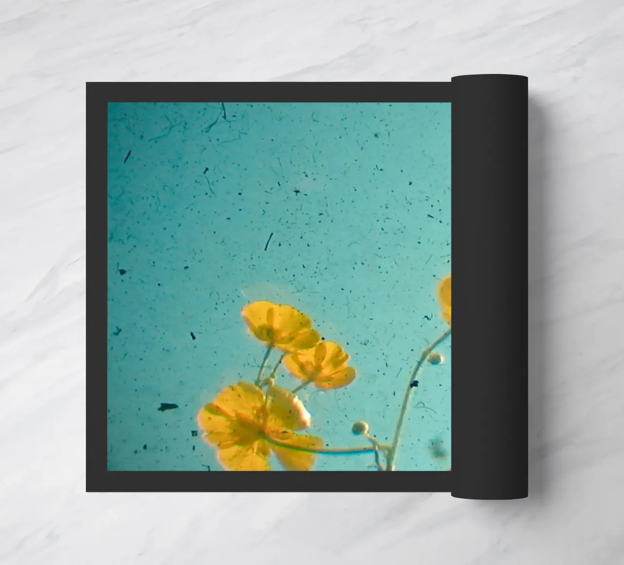 La felicità è zerbino da Cassia Beck Photography