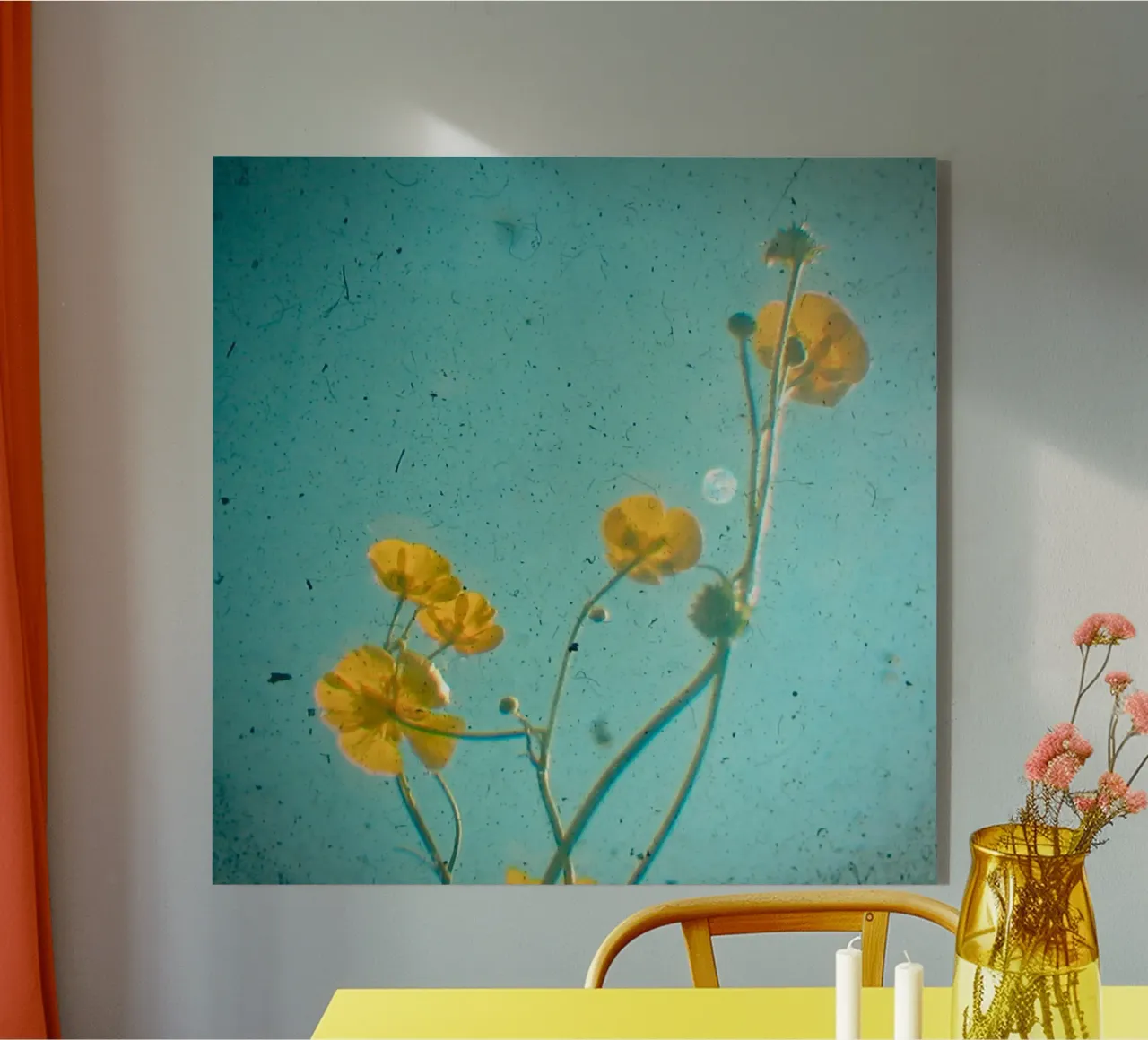 La felicità è plexiglass da Cassia Beck Photography