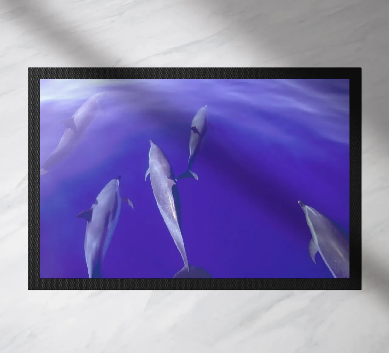Dolphin Pod zerbino da Natural Kingdom