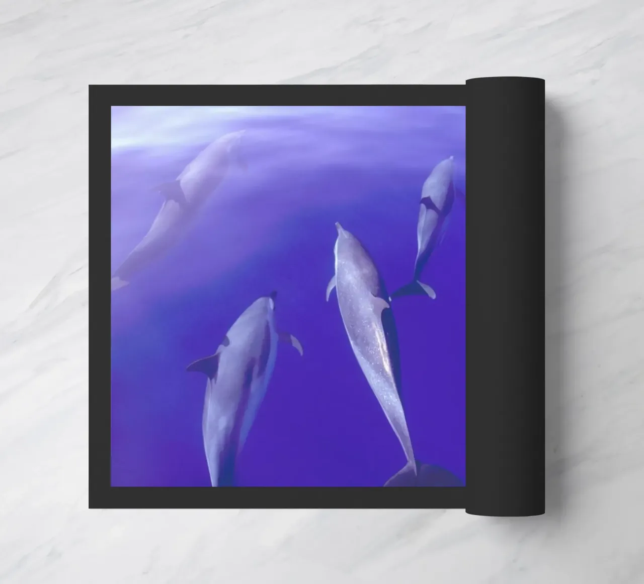 Dolphin Pod zerbino da Natural Kingdom