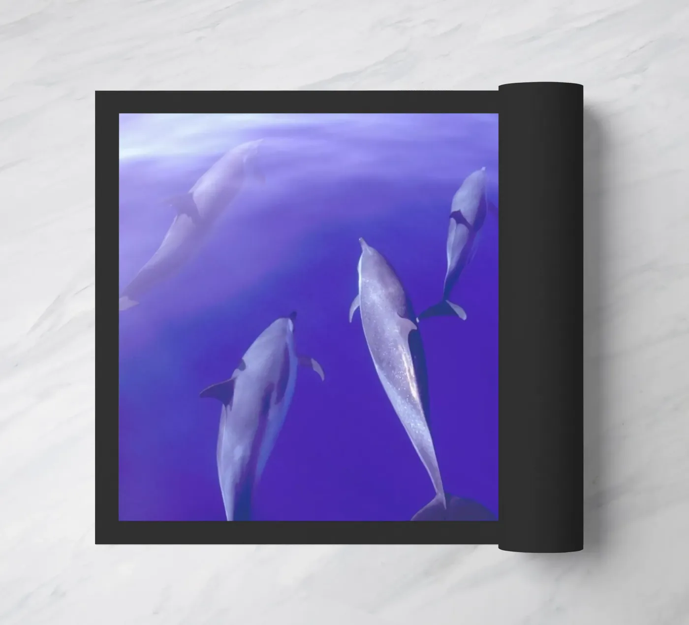 Dolphin Pod zerbino da Natural Kingdom