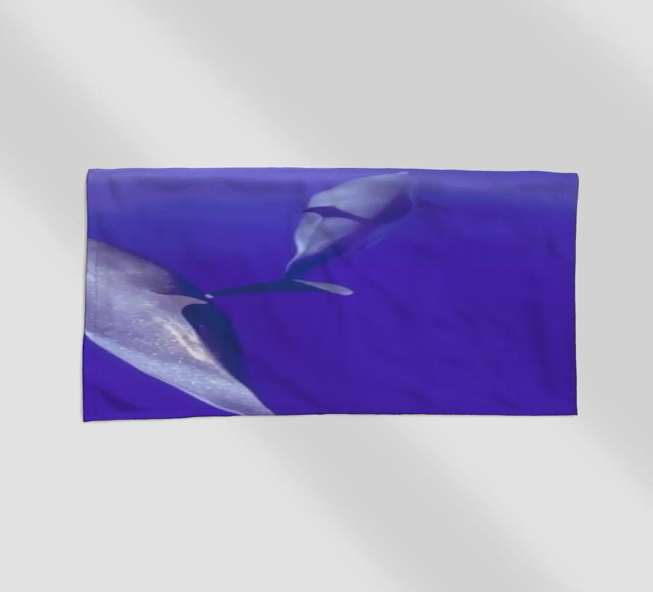 Dolphin Pod telo mare da Natural Kingdom