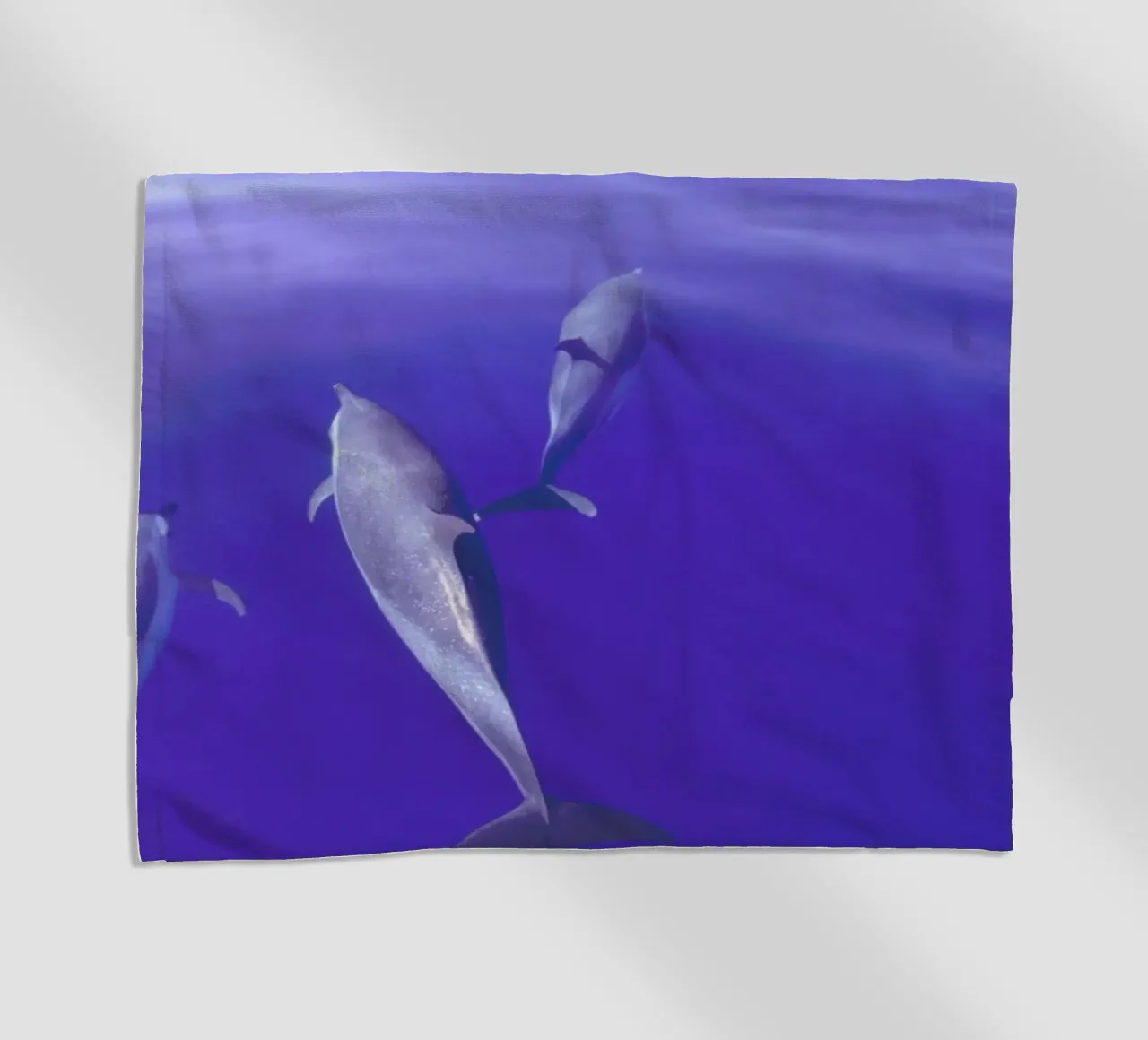 Dolphin Pod telo mare da Natural Kingdom