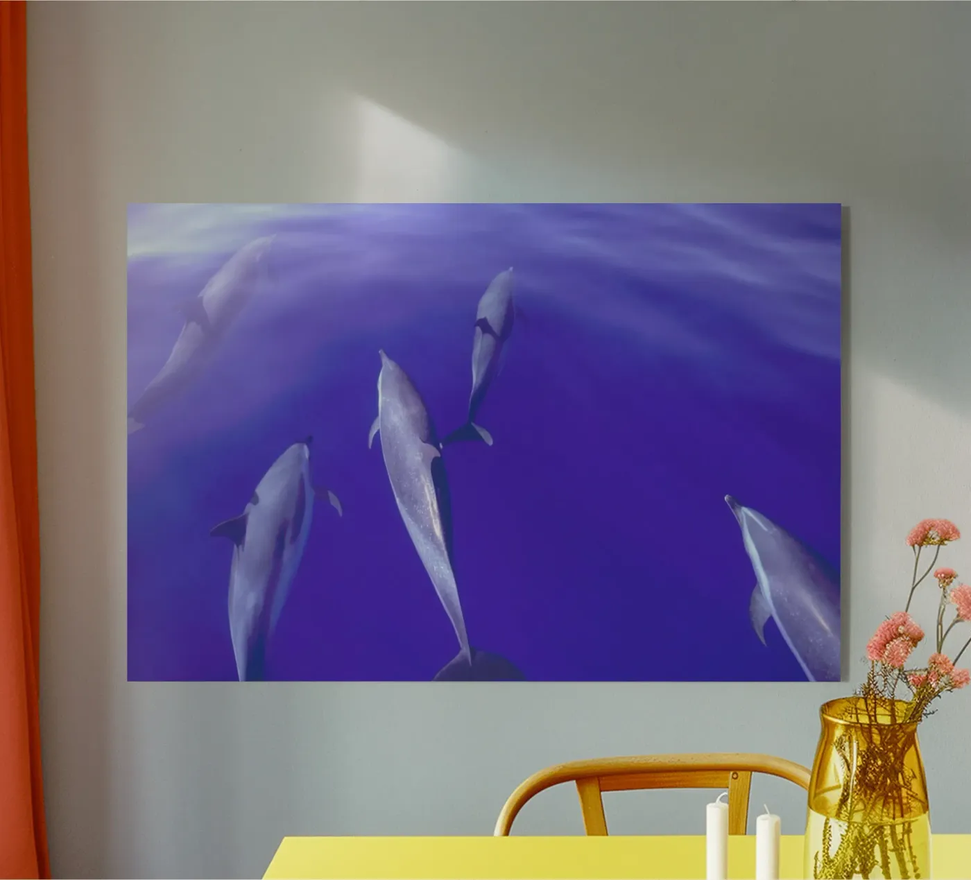 Dolphin Pod plexiglass da Natural Kingdom