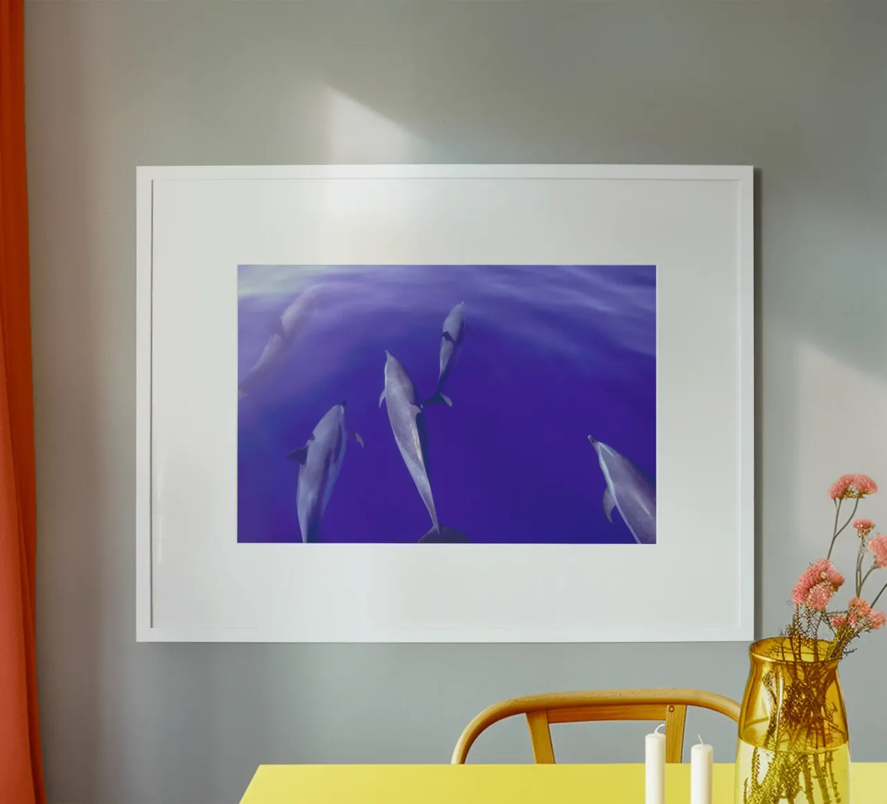 Dolphin Pod poster da Natural Kingdom