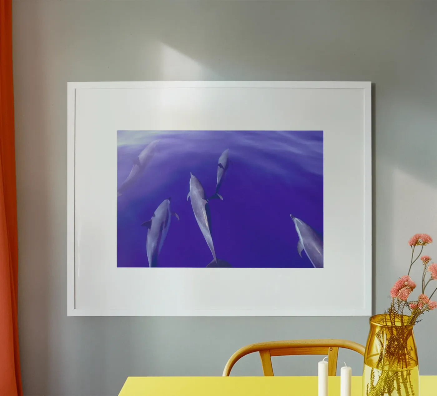 Dolphin Pod poster da Natural Kingdom