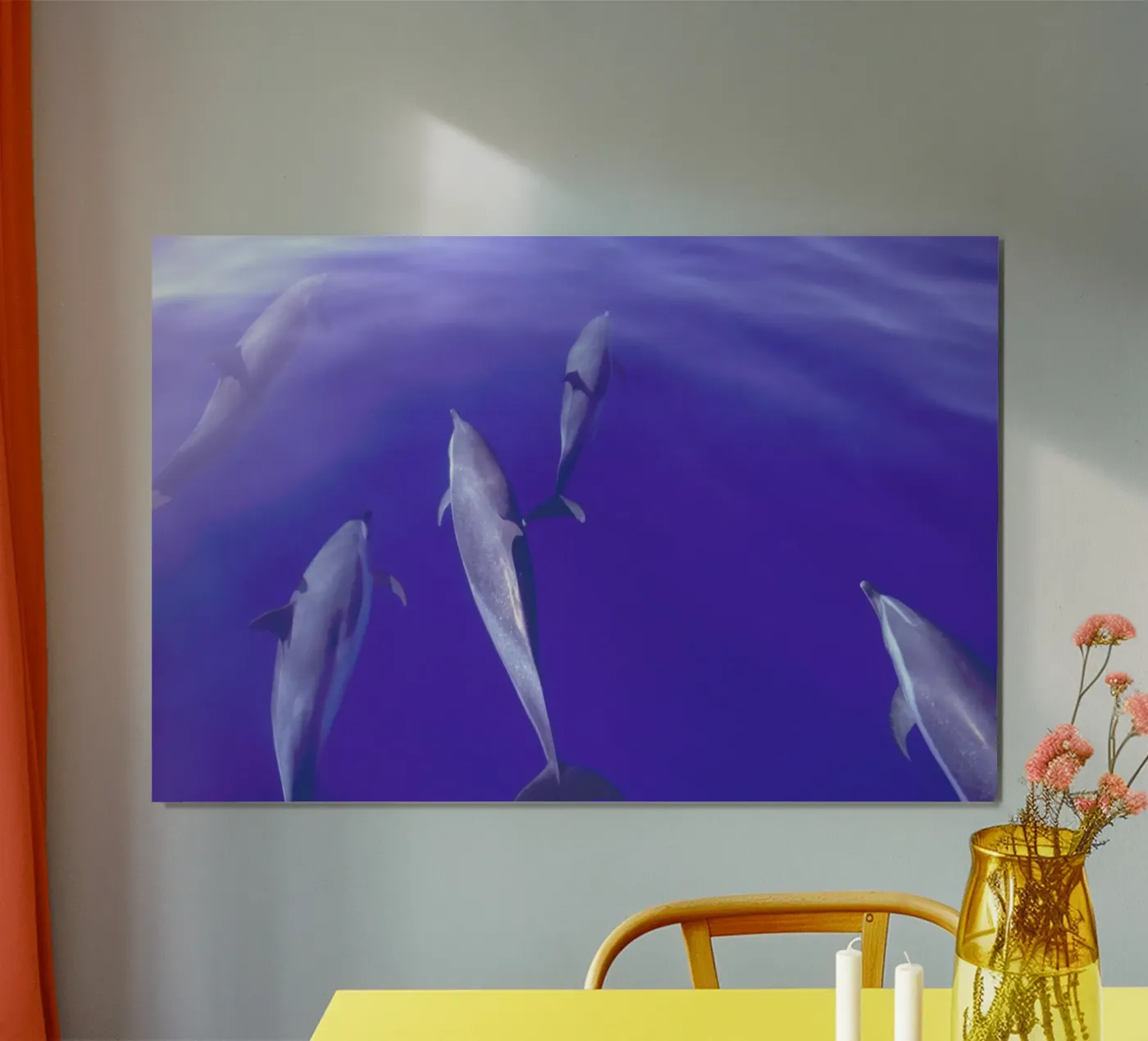 Dolphin Pod poster da Natural Kingdom