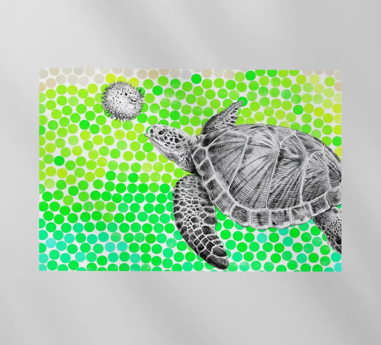 Turtle and Pufferfish pellicola backlit da Eric Fan