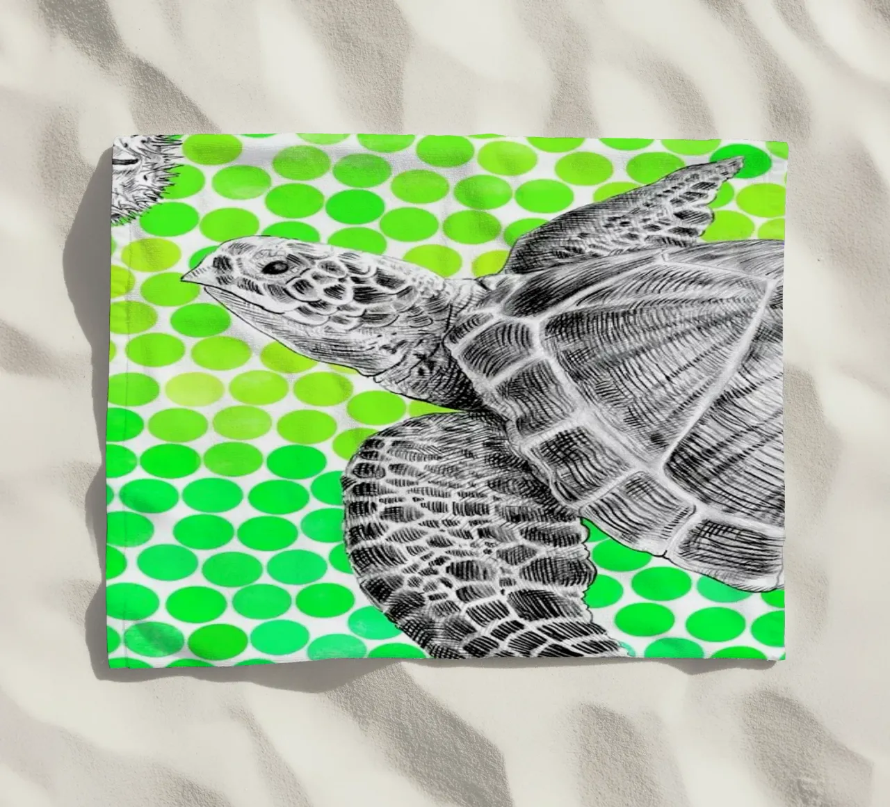 Turtle and Pufferfish telo mare da Eric Fan