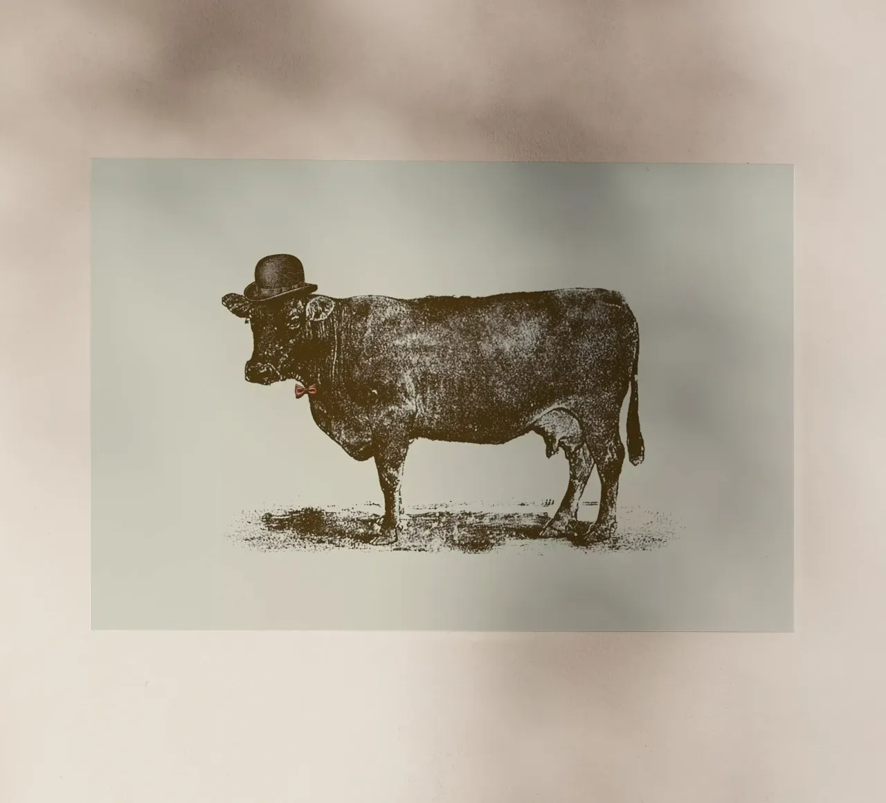 Cow Cow Nut pellicola backlit da Florent Bodart