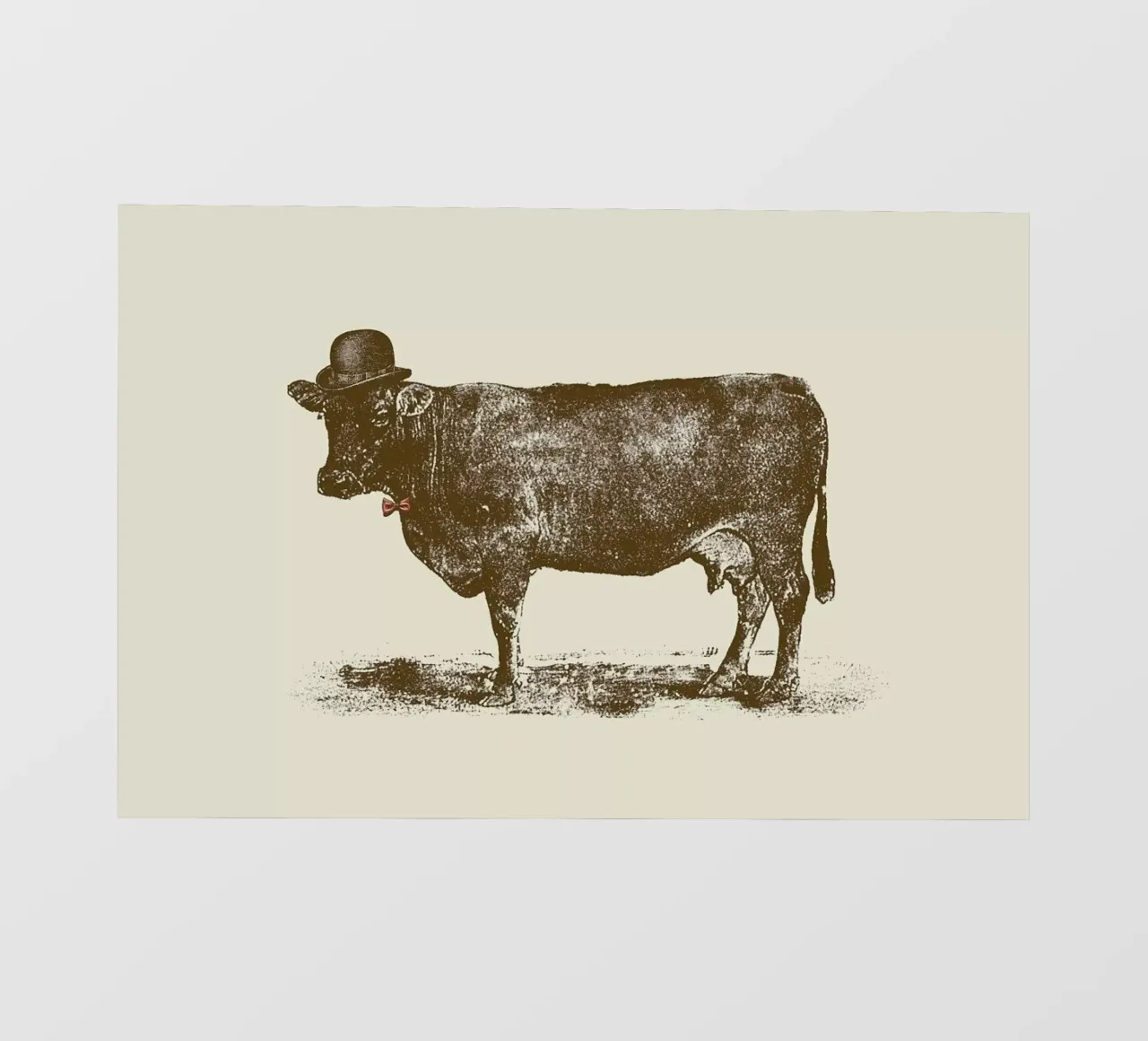 Cow Cow Nut pellicola backlit da Florent Bodart