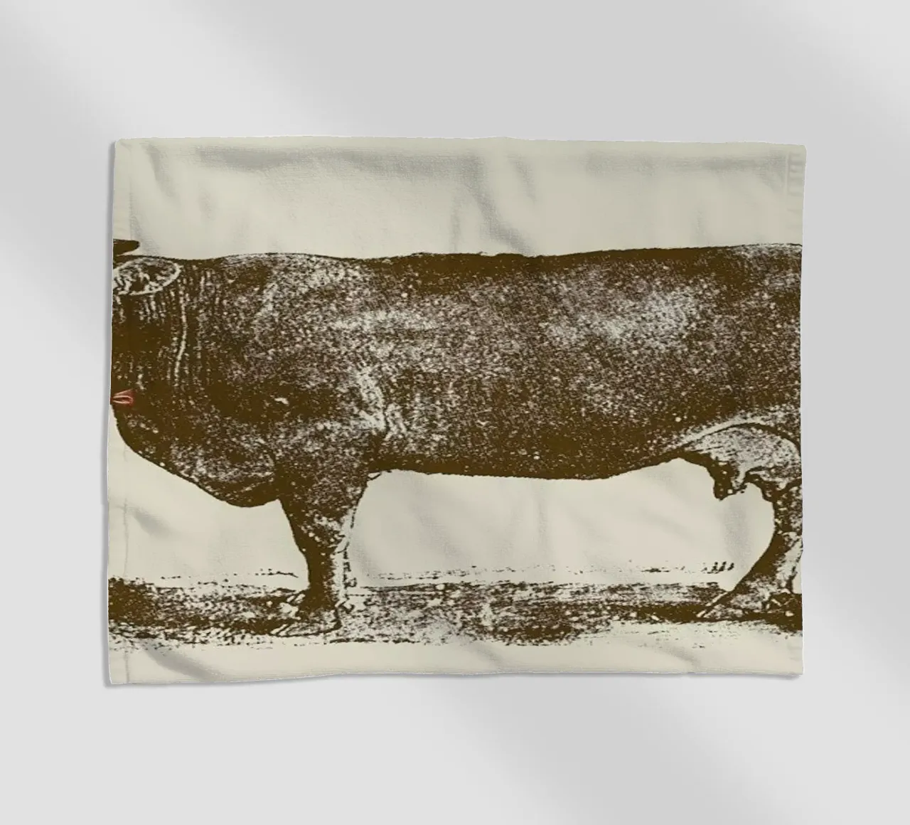 Cow Cow Nut telo mare da Florent Bodart