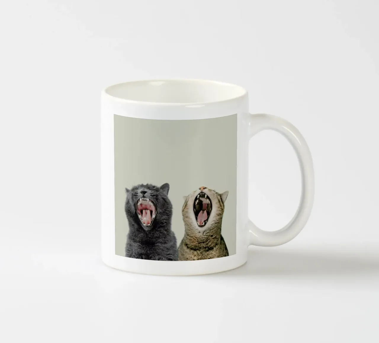 Cat Choir tazza in ceramica da Natural Kingdom