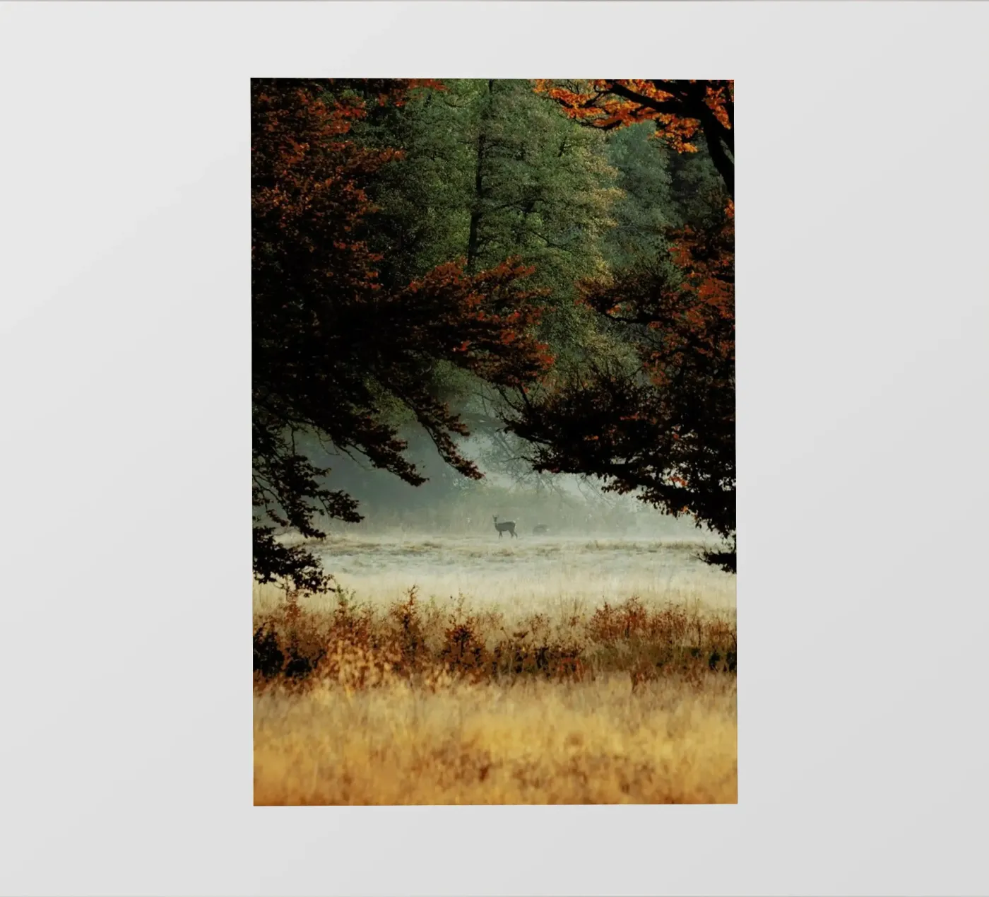 Just Us pellicola backlit da METROPOLIS