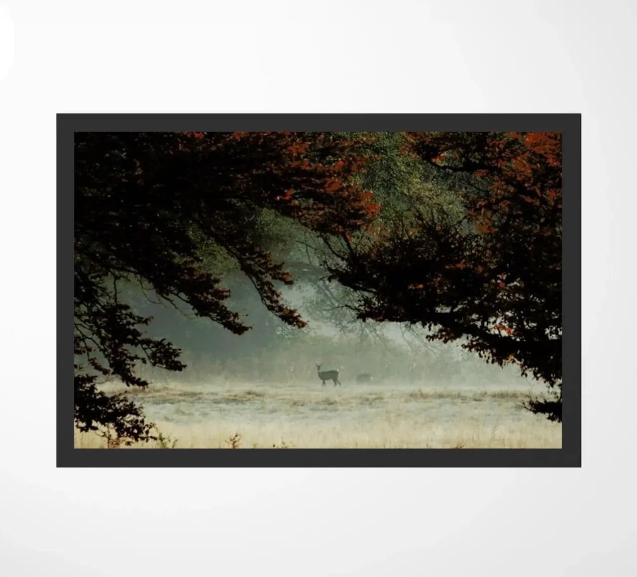 Just Us zerbino da METROPOLIS