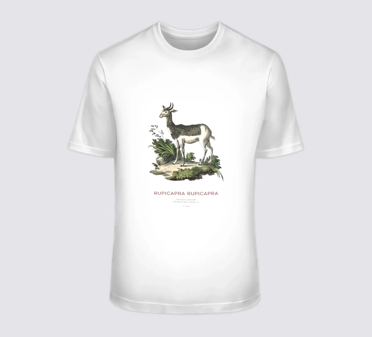 Alpine chamois t-shirt by Vintagrafica
