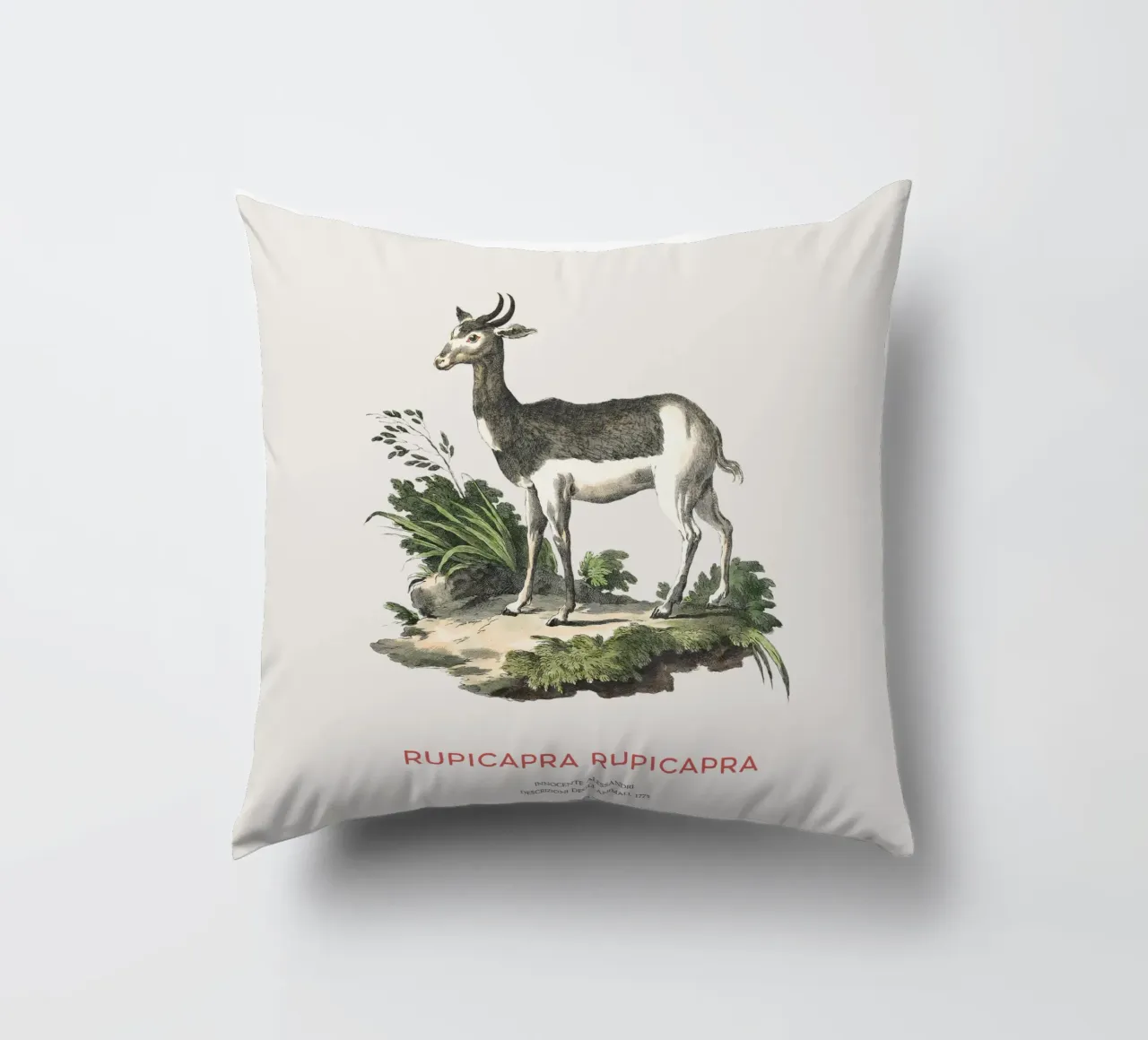 Alpine chamois decorative cushion by Vintagrafica