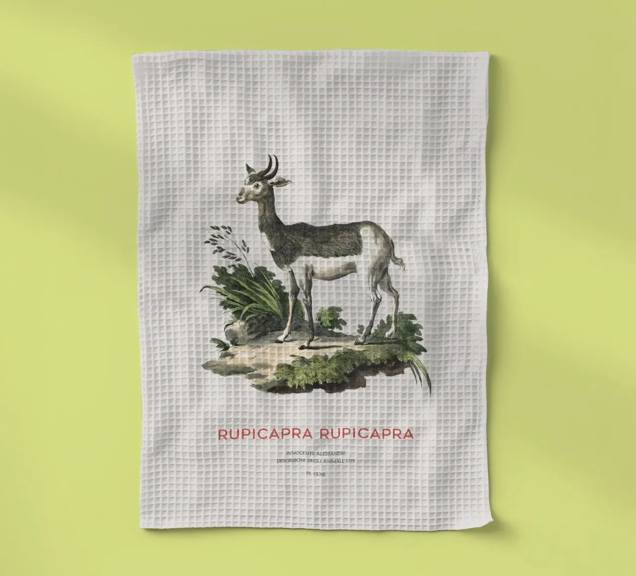 Camoscio alpino canovaccio da cucina da Vintagrafica