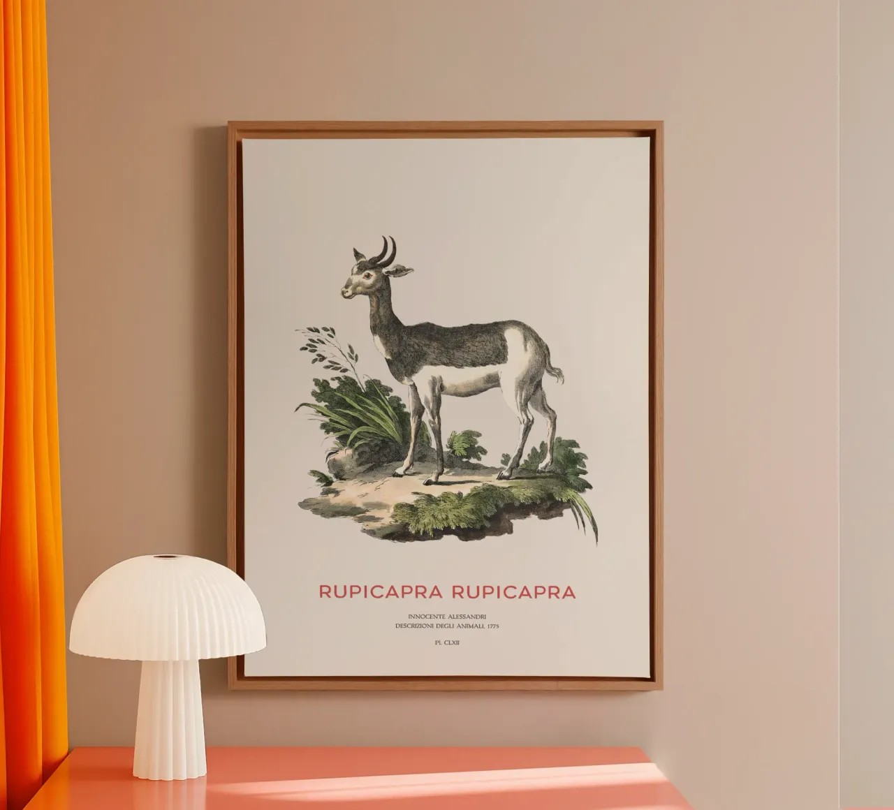 Alpine chamois canvas by Vintagrafica