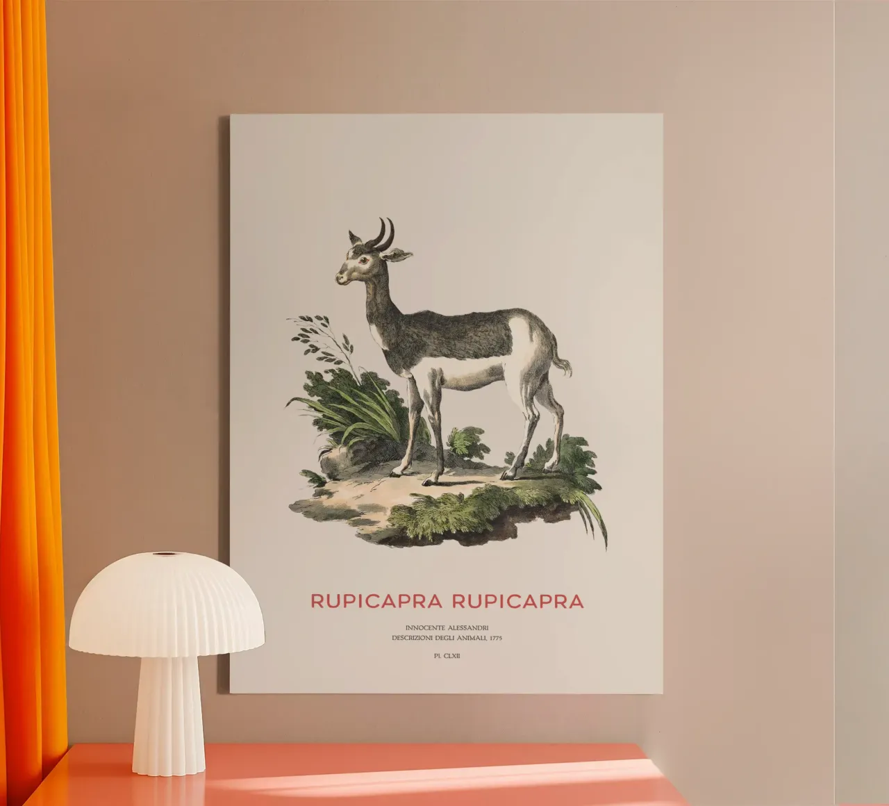 Alpine chamois canvas by Vintagrafica