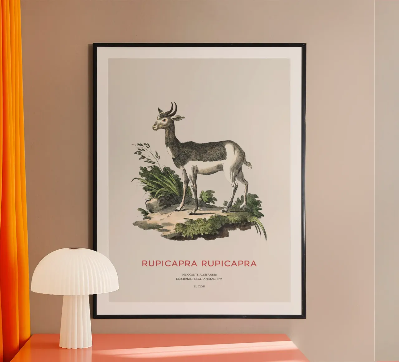 Alpine chamois hahnemühle by Vintagrafica