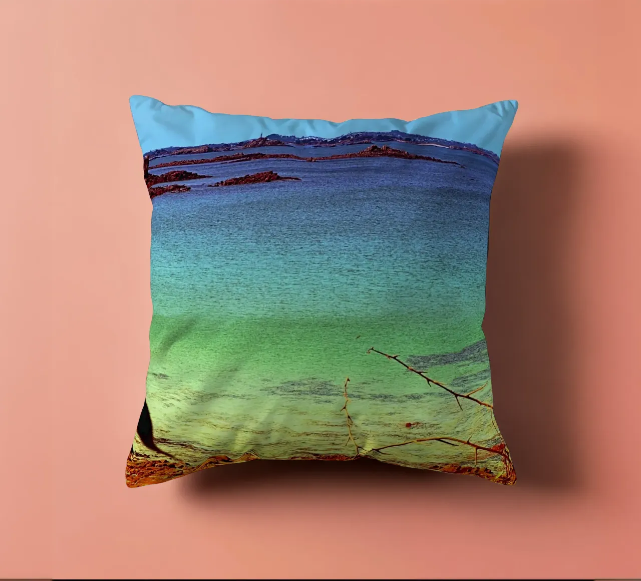 FAA311 decorative cushion by Thierry vobmann photography