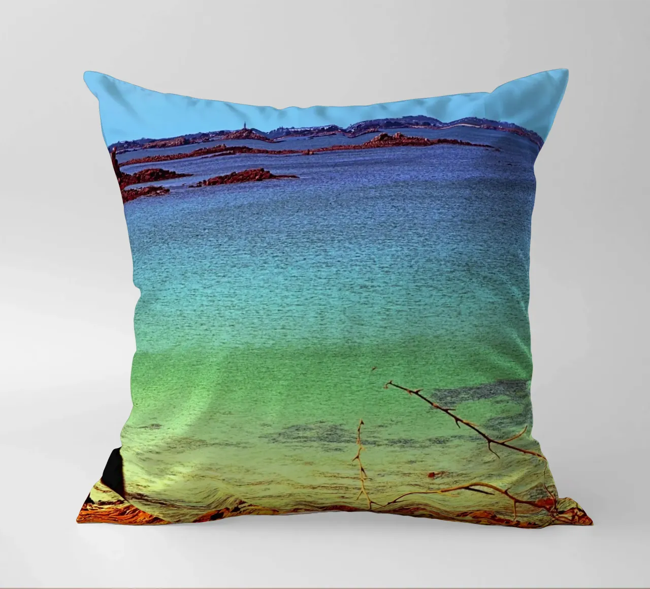 FAA311 decorative cushion by Thierry vobmann photography