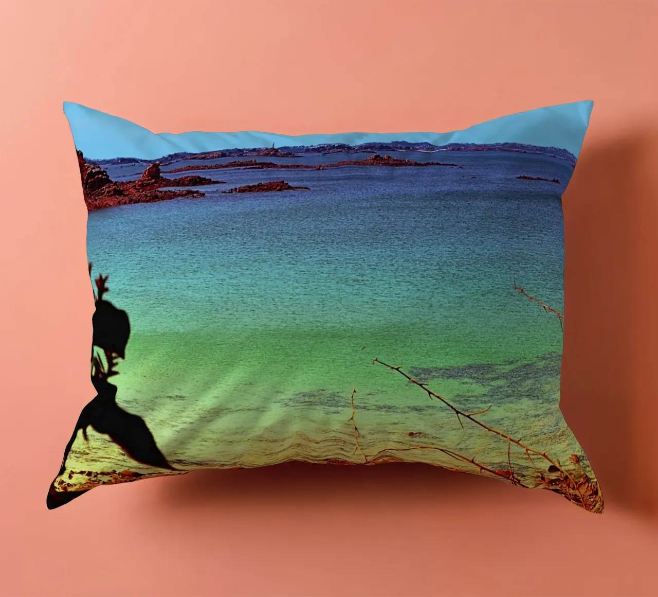 FAA311 decorative cushion by Thierry vobmann photography